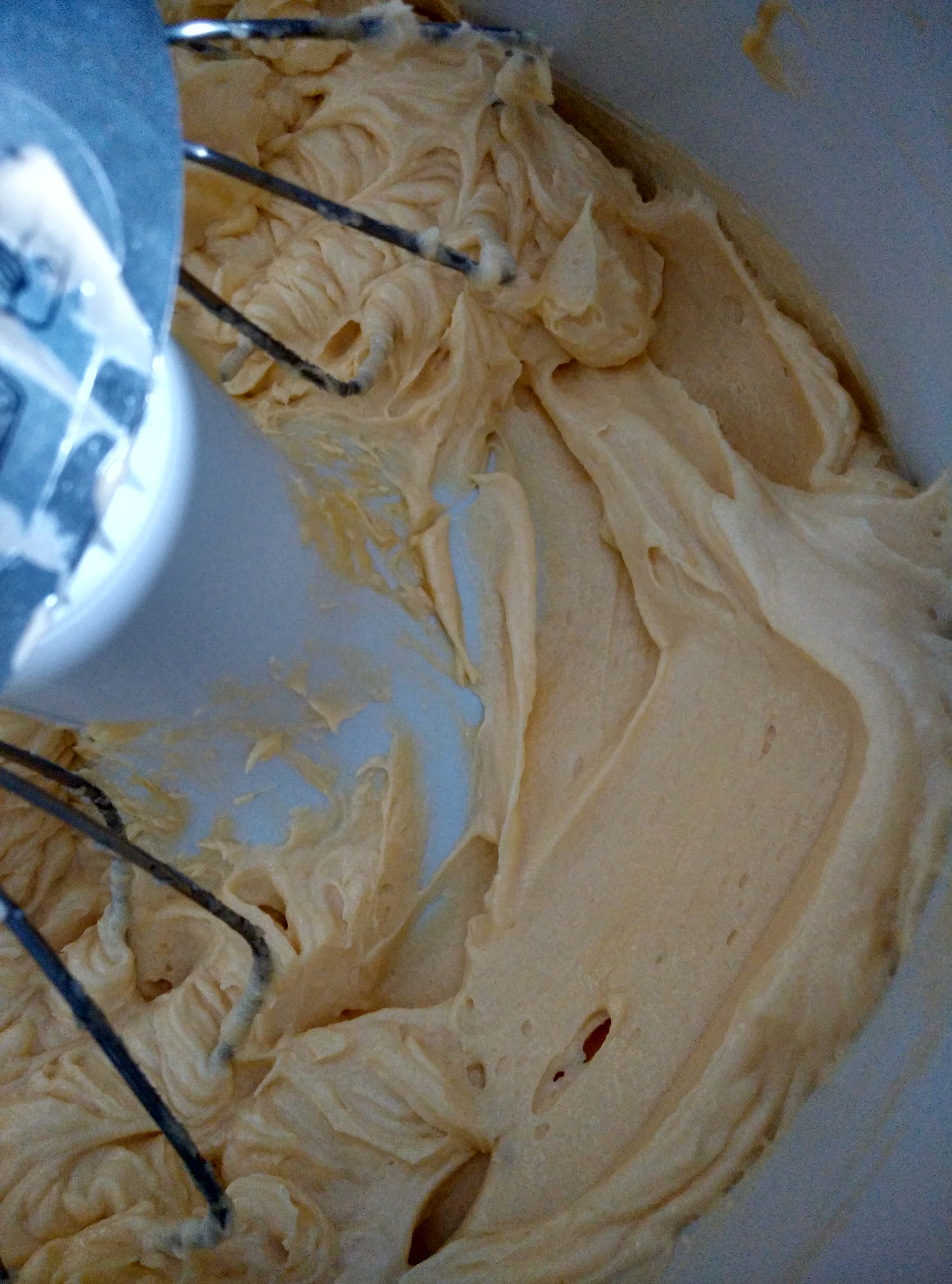 IMG_20160117_104146_HDR[1]