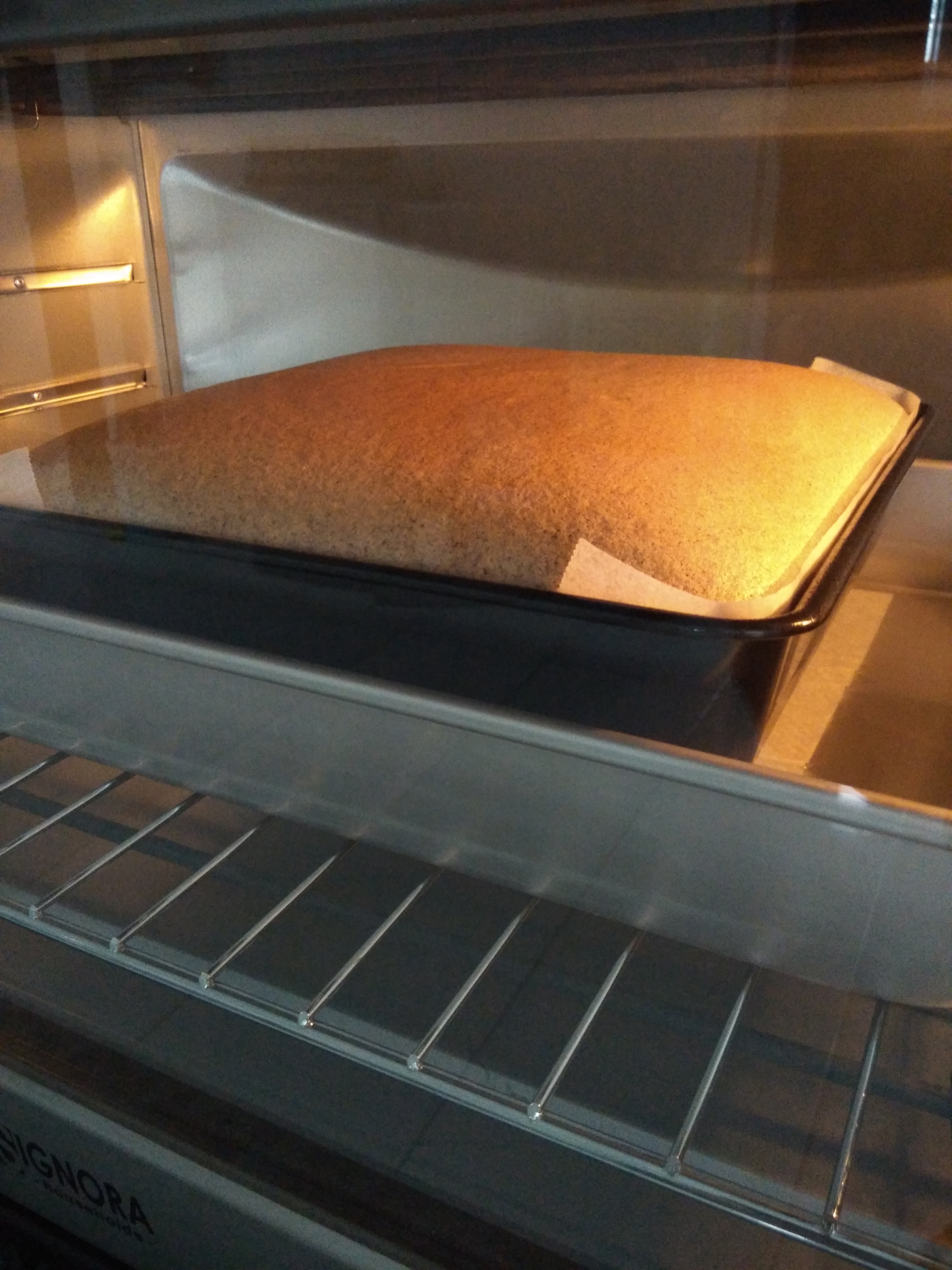 img_20161114_1049271